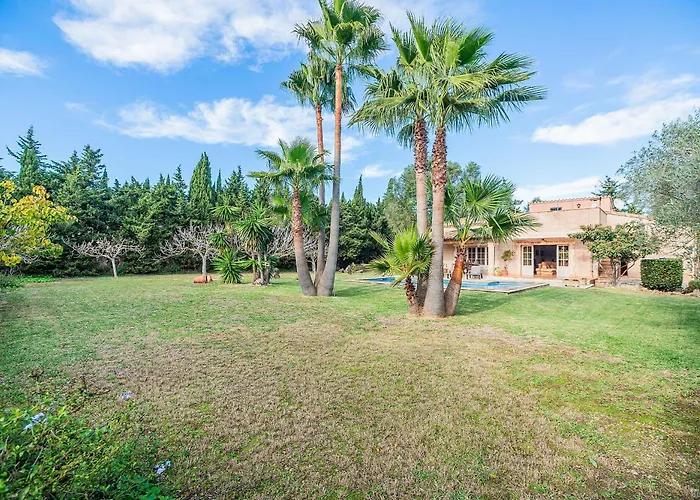 Manyani - By Dream * Pollensa