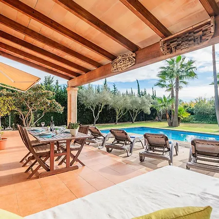 Manyani - By Dream Pollenca